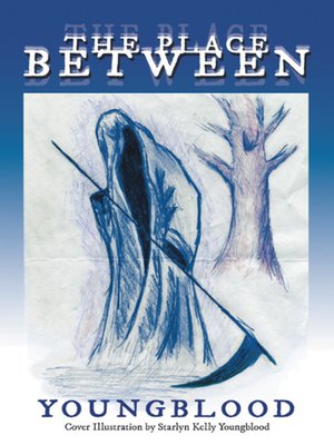 cover image of The Place Between